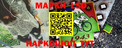 mdma Сланцы