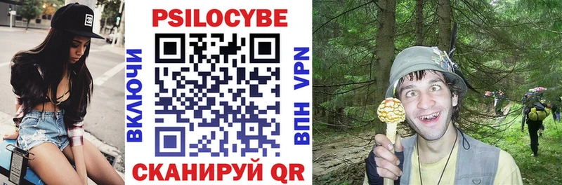 Галлюциногенные грибы Psilocybe  omg вход  Соль-Илецк 