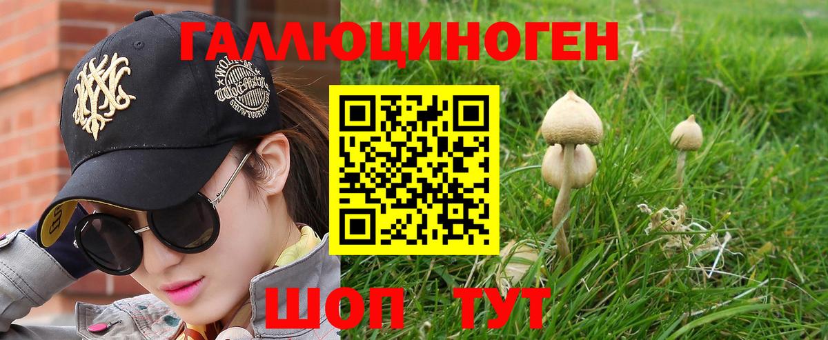 Галлюциногенные грибы Psilocybe Соль-Илецк