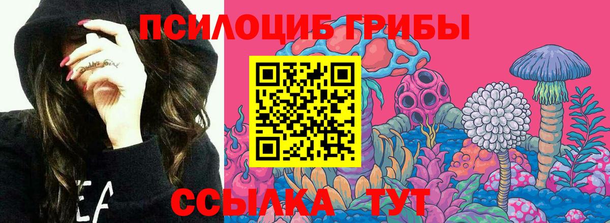 Псилоцибиновые грибы Psilocybe  наркошоп  Соль-Илецк  Вход с VPN 